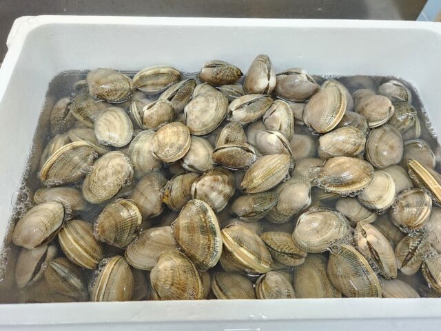 あさり – 有限会社 マルト一平